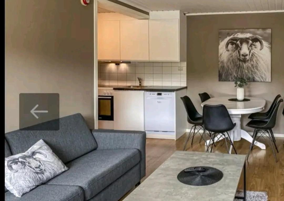 Bovervegen 19 Appartment Nr 9 Bjorli 외부 사진